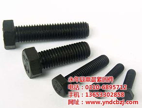 福建鼎晨緊固件 專(zhuān)注提供優(yōu)質(zhì)10.9級(jí)高強(qiáng)度螺栓的專(zhuān)業(yè)商家