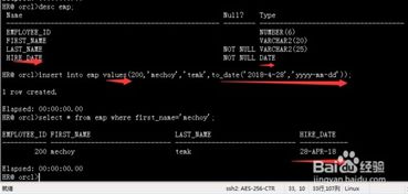 Oracle DML數(shù)據(jù)修改與事務(wù)處理 在線數(shù)據(jù)處理與交易處理的基石